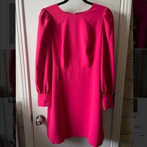 NWT J Crew dress (size 6)